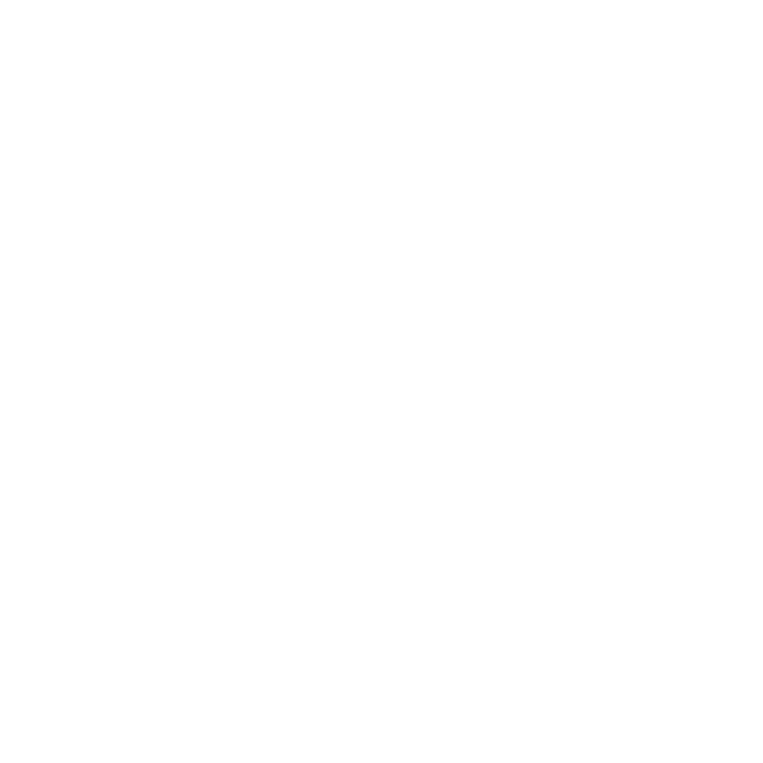 Hailey Toney logo